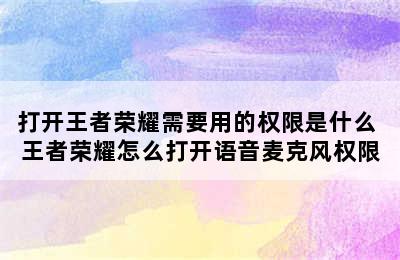 打开王者荣耀需要用的权限是什么 王者荣耀怎么打开语音麦克风权限